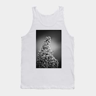 climbing Mount Seuss Tank Top